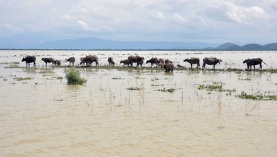 豪雨で洪水や土砂崩れ相次ぐ、ネパールとインドで死者90人超