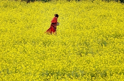 むち打ち刑で少女死亡、「殺人」と断定 バングラデシュ