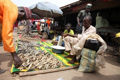 ナイジェリアの市場で2人が自爆、けんか装い人集める