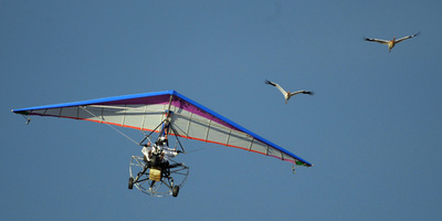 プーチン大統領のツル誘導飛行、大失敗に終わる