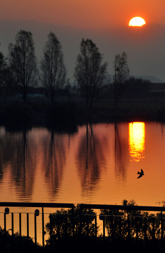 サンティアゴの湖に沈む夕日、南米チリ