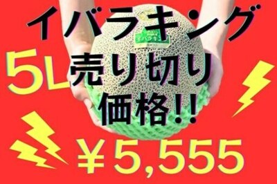 茨城県産イバラキング５Ｌが今シーズン最終価格に！ 産地直送通販サイト「ＪＡタウン」で販売中
