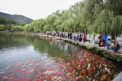 中国・大型連休「前半戦」、国内の旅行者は前年に比べ12.1%増