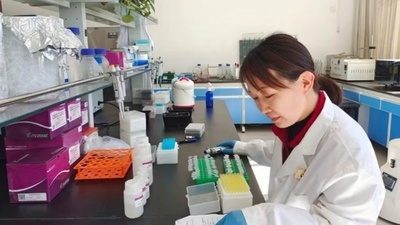 中国 ヒマワリの品種とその実質的派生品種のMNP分子標識法を採択