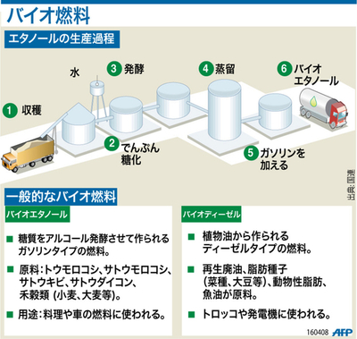 【図解】石油代替燃料として注目されるバイオ燃料