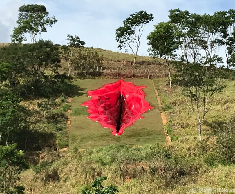畑に現れた「傷」 巨大女性器彫刻でジェンダー問題提起 ブラジル