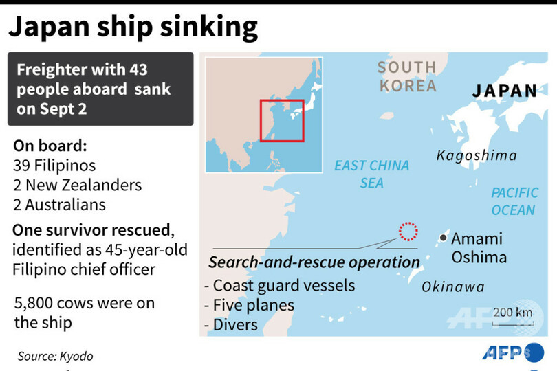奄美沖で遭難の貨物船、沈没か 43人乗船、牛6千頭輸送中
