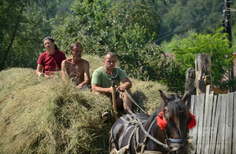 ルーマニアに「奴隷村」、警察が強制捜査
