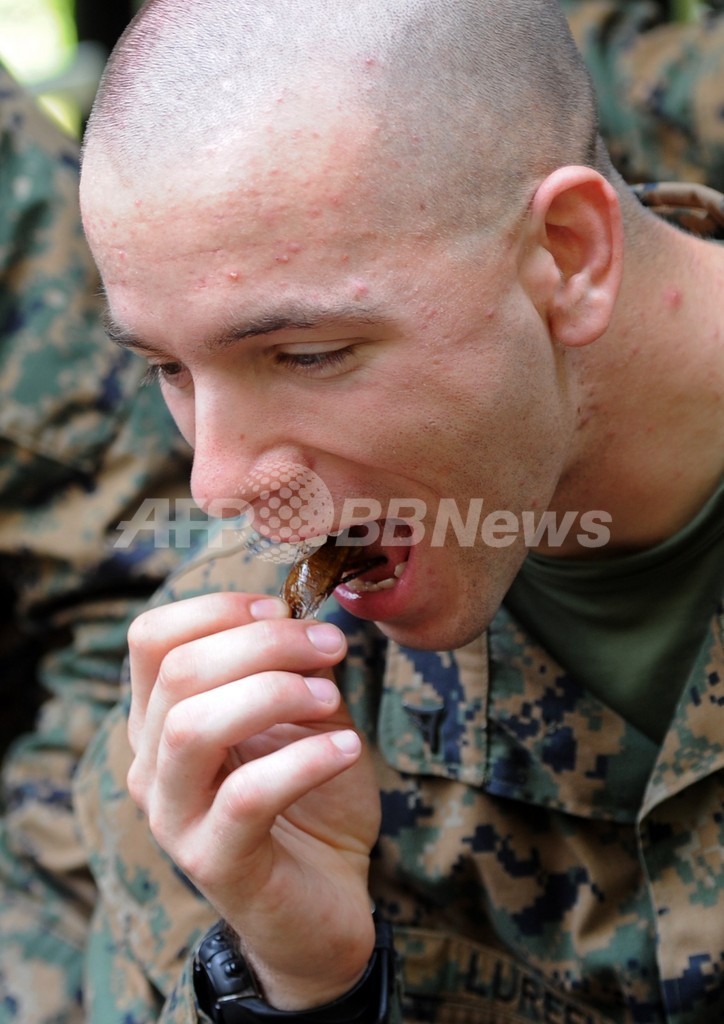 虫は未来の食糧源、国連FAOが報告書