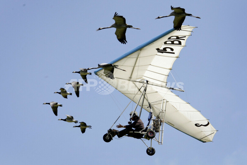 スイスの航空ショー 渡り鳥と共に大空を飛ぶ 写真12枚 国際ニュース Afpbb News