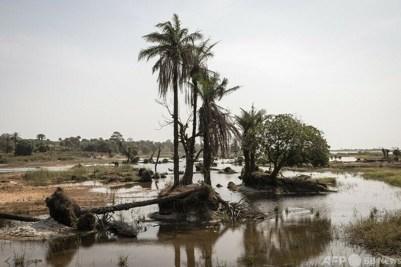 建築用の砂を大量採取、環境破壊の原因に ガンビア