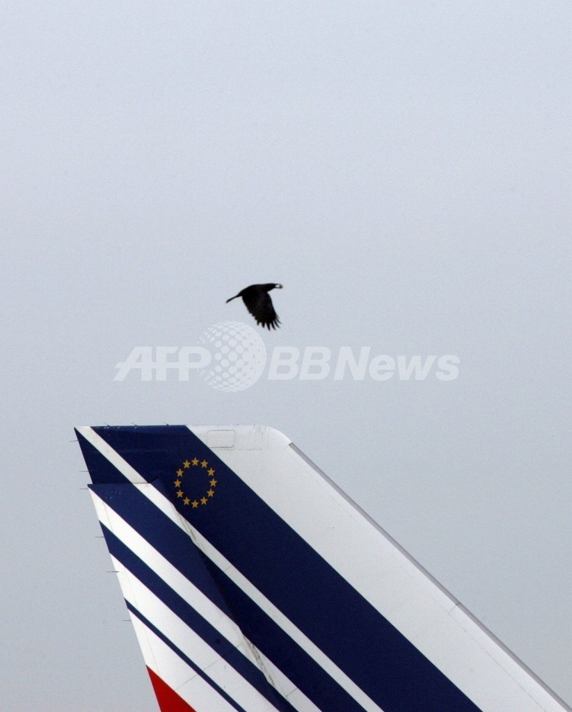 航空機へのバードストライク、今後増加の可能性 米FAAが指摘 航空機へのバードストライク、今後増加の可能性 米FAAが指摘