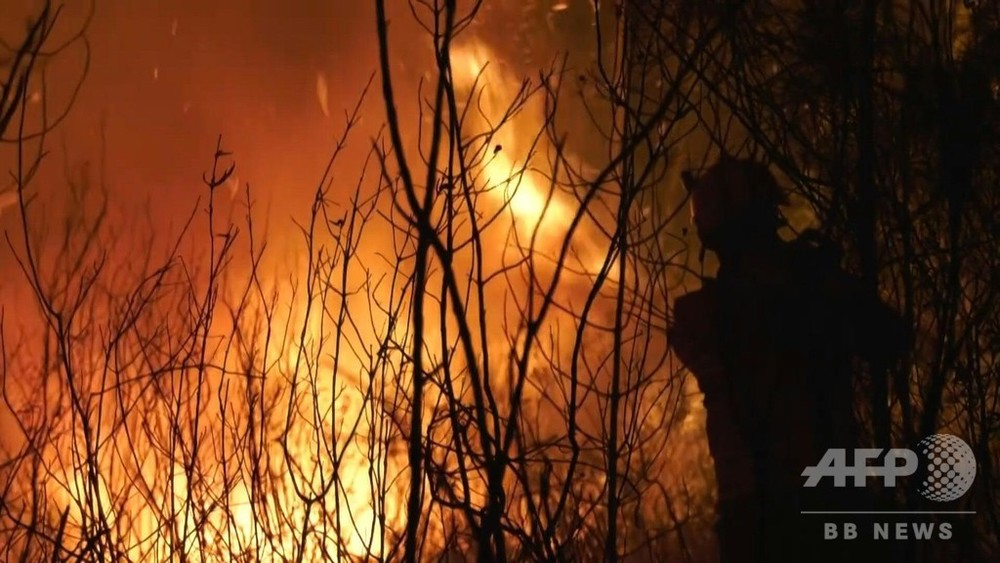 動画 ポルトガル中部で山火事 消防隊員1700人が消火活動 現場の映像 写真1枚 国際ニュース Afpbb News