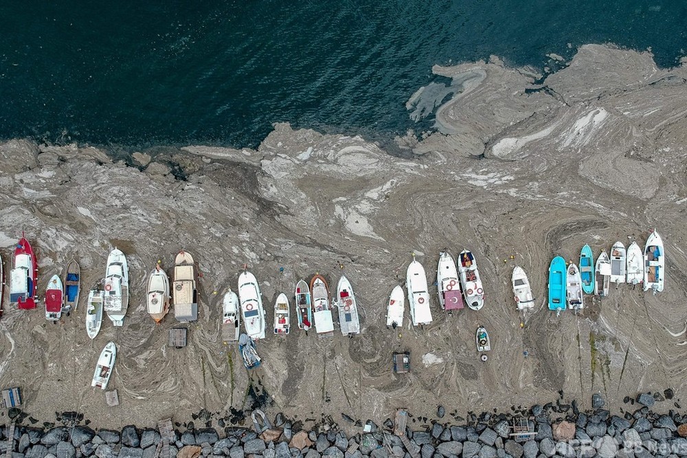 トルコで 海の鼻水 大量発生 住民に不安広がる 写真12枚 国際ニュース Afpbb News