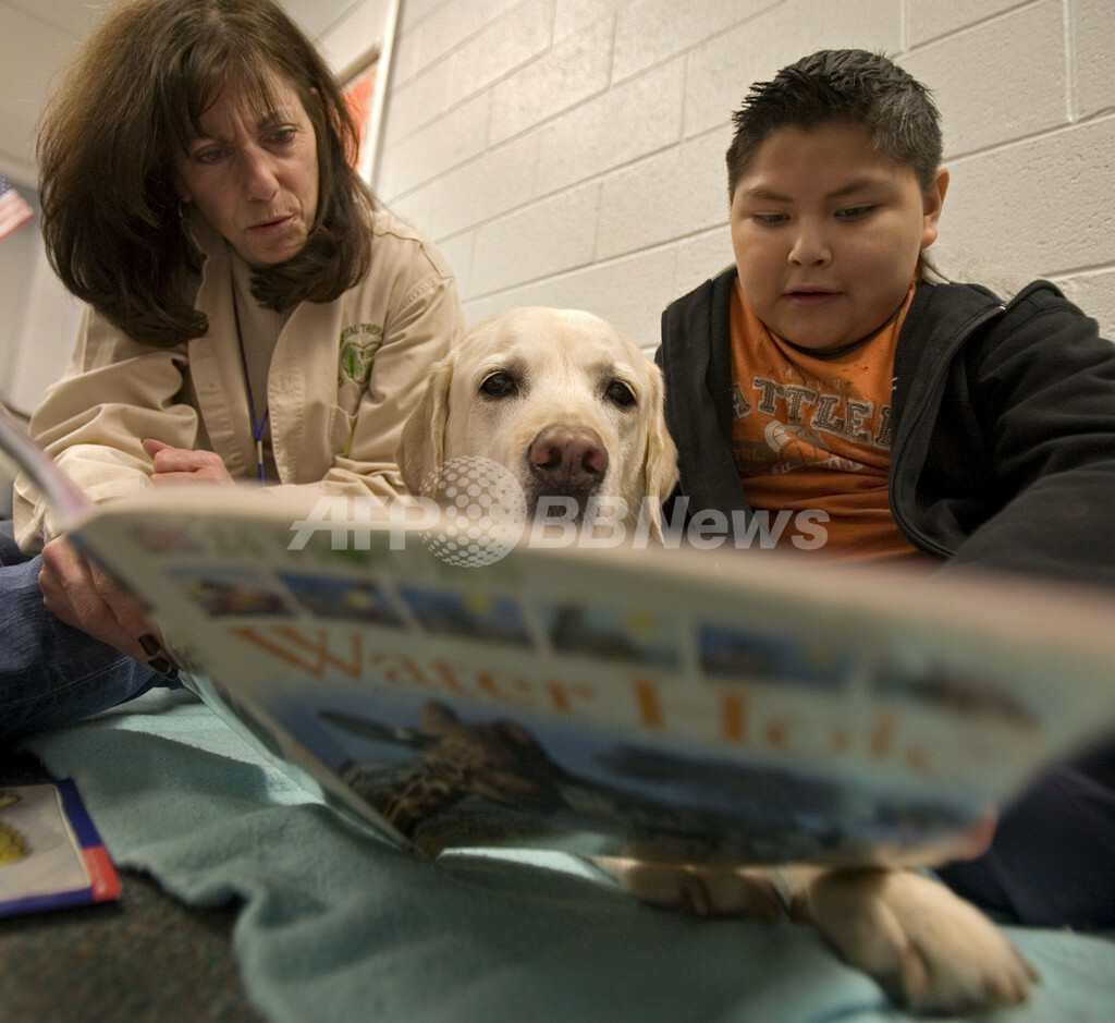 読書の緊張和らげる犬たちが活躍中 米国 写真6枚 ファッション ニュースならmode Press Powered By Afpbb News