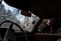 ウクライナの首都キーウ北部ブダバビネチカ近くの道に置かれた破壊された車をのぞき込むウクライナ兵（2022年4月5日撮影）。(c)RONALDO SCHEMIDT / AFP
