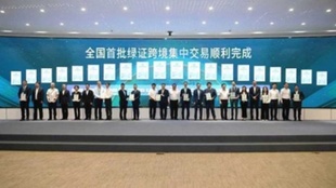 中国初のグリーン電力証書の越境一括取引が成立