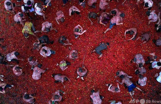 トマトまみれの快感、恒例のトマト投げ「トマティーナ」 写真16枚 国際