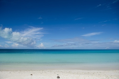 海は想定以上の熱を吸収、気候変動影響か 研究