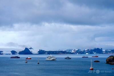 観光客急増で南極汚染深刻化、研究者が警告
