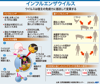 【図解】インフルエンザウイルス