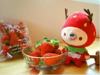 【日本におけるいちご伝来の地】長崎県のいちごをテーマにした川柳コンテストを初開催！ 