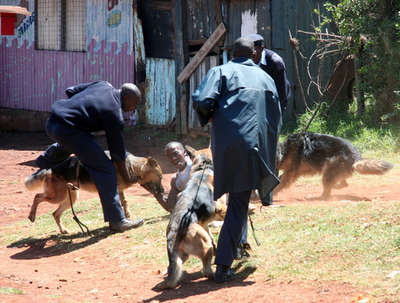ケニア情勢で米政府高官、「一部で民族浄化」と表現