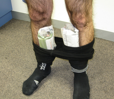 ズボンの中からハト2羽で逮捕、空港の身体検査で オーストラリア