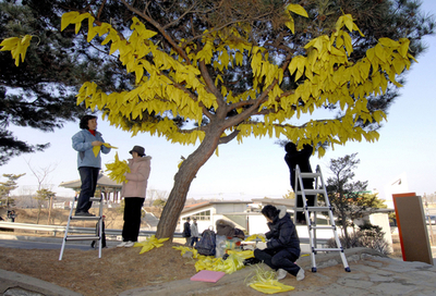 過去50年の北朝鮮拉致被害者500人、被害者の1人が31年ぶりの帰還訴え - 韓国