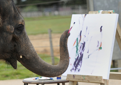 動物園が誇るアーチスト、鼻先でお絵描き 英国