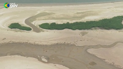 動画:魚大量死のアマゾン熱帯雨林地帯に支援拡充へ ブラジル