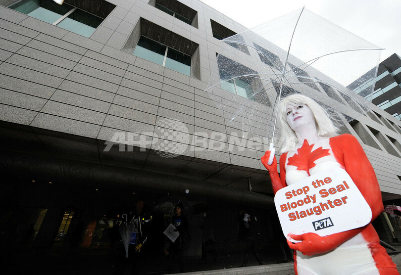 カナダ国旗のボディーペイントでアザラシ猟に抗議、PETA