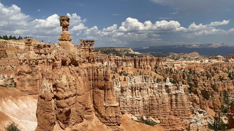 高さ115メートルの崖からカップル転落、飼い猫のみ生還 米