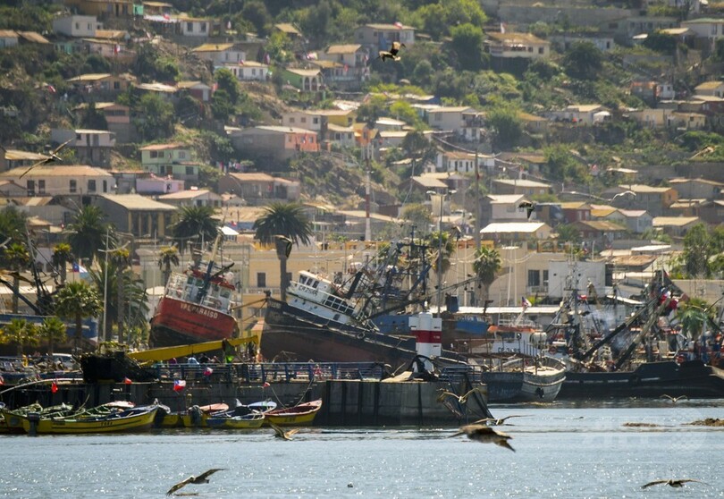チリ地震、5年前の教訓が命を救った 専門家