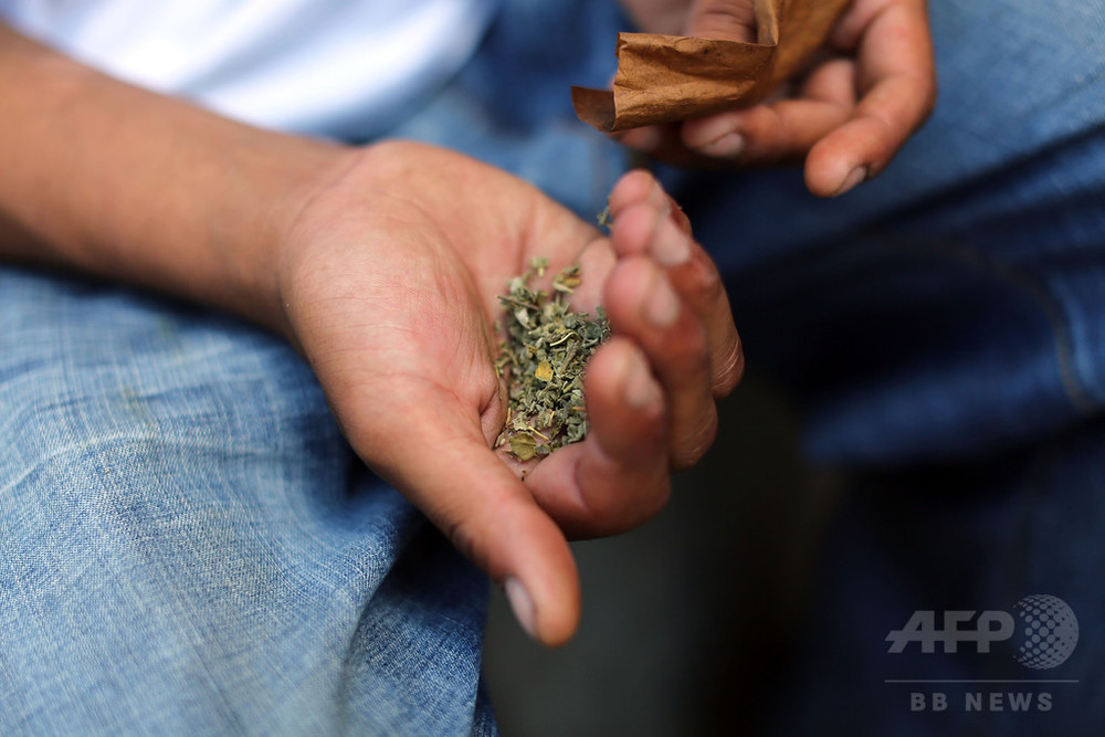 偽大麻 に警告 通常大麻の最大100倍の作用も 米国 写真1枚 国際ニュース Afpbb News