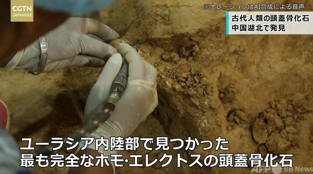 研究者らが北アフリカでユニークな古代人類の足跡を発見