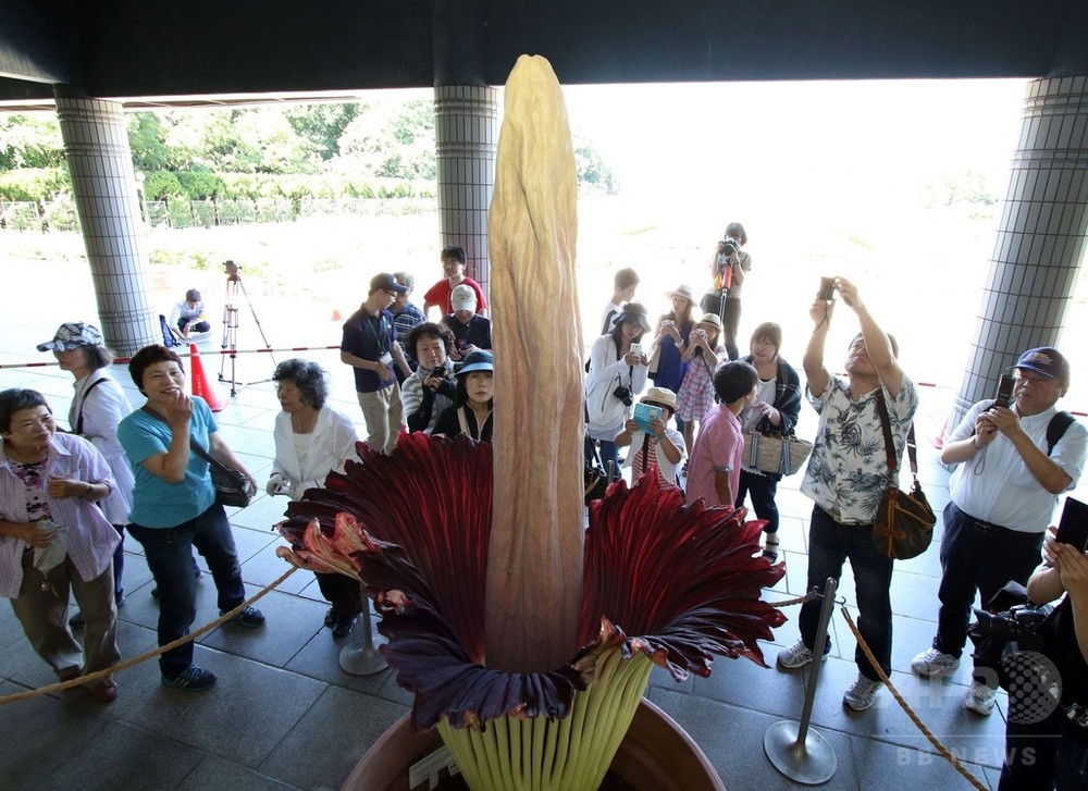 img_08df1609d09a69b1b2bf39487c