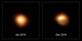 欧州南天天文台（ESO）の超大型望遠鏡VLTが捉えたベテルギウス。左は2019年1月撮影、右は同年12月撮影。ESO提供（2020年2月14日提供）。(c)AFP PHOTO / EUROPEAN SOUTHERN OBSERVATORY
