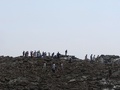 パキスタン南西部で24日に発生した大地震により同国沖に出現した島には、興味をひかれた地元住民らが次々と上陸している。

国立海洋研究所（National Institute of Oceanography）の海洋生物学者によると、島は幅300フィート（約91メートル）、長さ120フィート（約37メートル）ほど。標高は18～21メートルで、沿岸から200メートルほど離れた場所に出現。専門家らによると、強い揺れが発生した際に地中のメタンガスが土壌を噴き上げて形成される「泥火山」の可能性が高く、数か月で消滅する可能性もあるという（2013年9月25日撮影）。(c)AFP/Pakistani Government