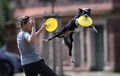 ドイツ南部カールスルーエで、犬にフリスビーを教える女性（2024年8月25日撮影）。(c)THOMAS KIENZLE / AFP