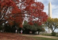 米ワシントンD.C.（Washington D.C.）にある国立公園ナショナル・モール（National Mall）の紅葉（2012年10月18日撮影）。(c)AFP/Getty Images/Mark Wilson