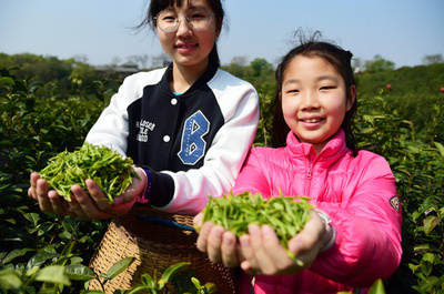 これも中国の歴史、子どもたちが茶摘みを体験 江蘇省
