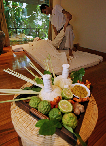 豪政府、マッサージを無料で受けられる公務員特権を廃止へ