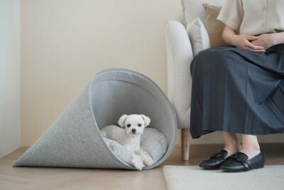 [KWレポート] チャンスを引き寄せたデザイン (6)  人材・人件費を支援