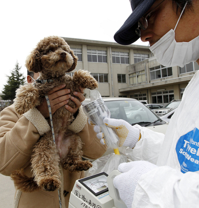 北朝鮮、「動物の異常行動に注意せよ」 巨大地震で呼びかけ
