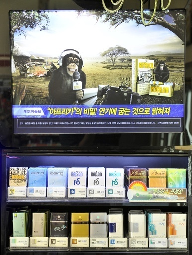 韓国たばこ「ディス・アフリカ」、チンパンジー採用の広告を中止