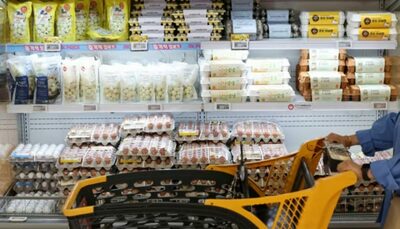 韓国公取委、「卵価格談合」で産卵鶏協会に課徴金約6534万円…卵価格制度見直しへ