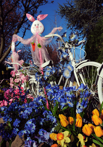 自転車でおでかけ？のイースターバニーたち、米バージニア州