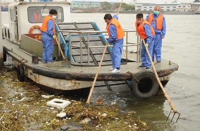 中国・黄河に謎の豚の死骸、20頭以上漂着