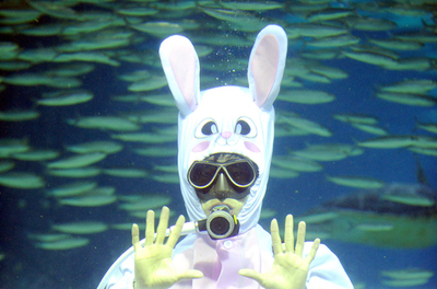 一足お先に卯年をお祝い、韓国・ソウルの水族館